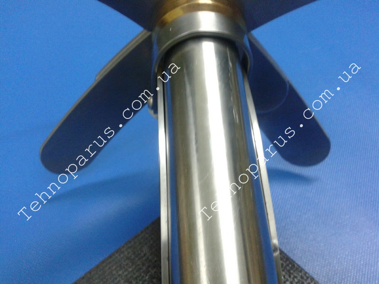 ЯКОРЬ-КОШКА